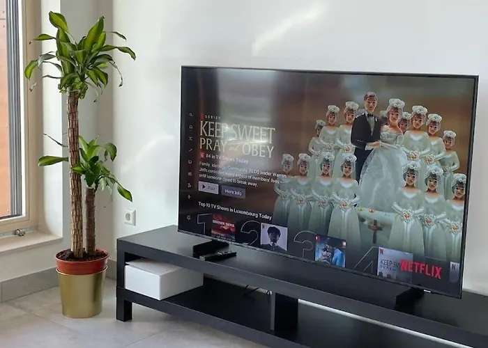 Charming One Bedroom With Terrace&parking In Center *